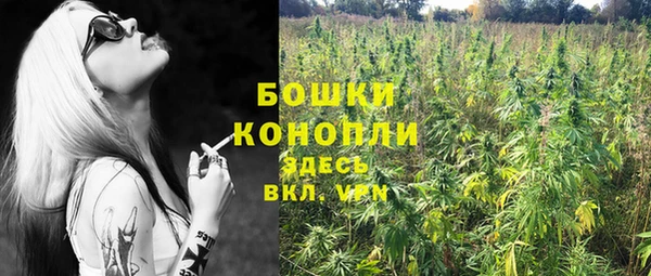 каннабис Михайловка