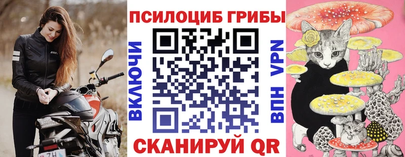 Галлюциногенные грибы GOLDEN TEACHER Купить Феодосия